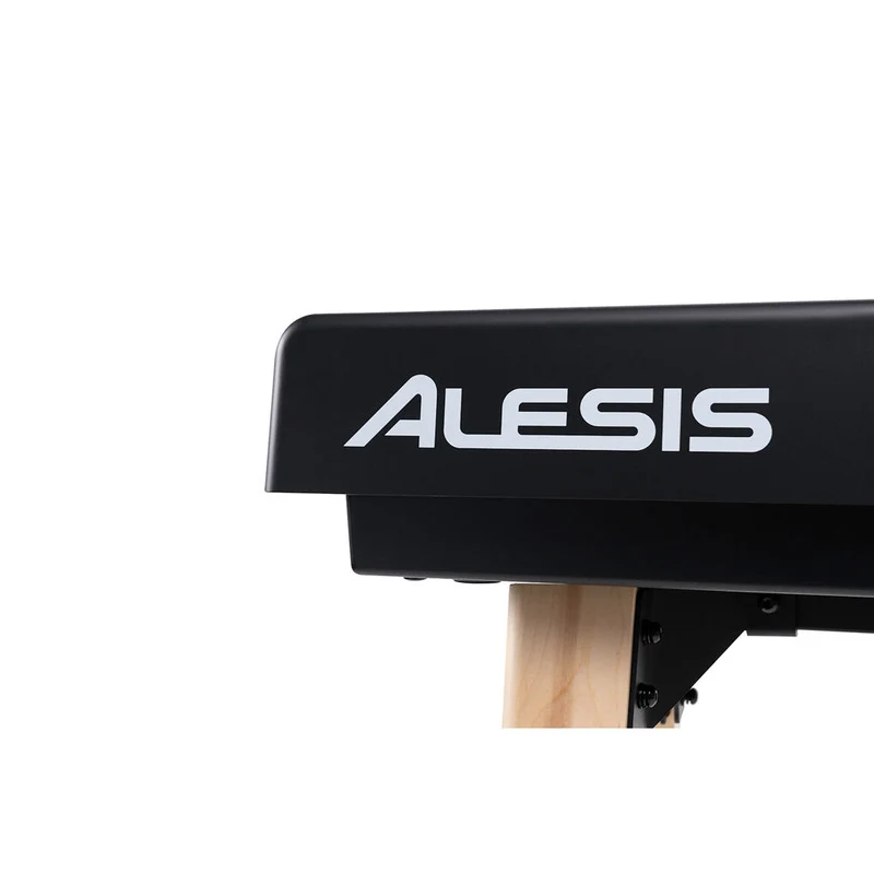 Alesis Recital Home Contemporary 88 Key Digital Piano with Wood Stand Black