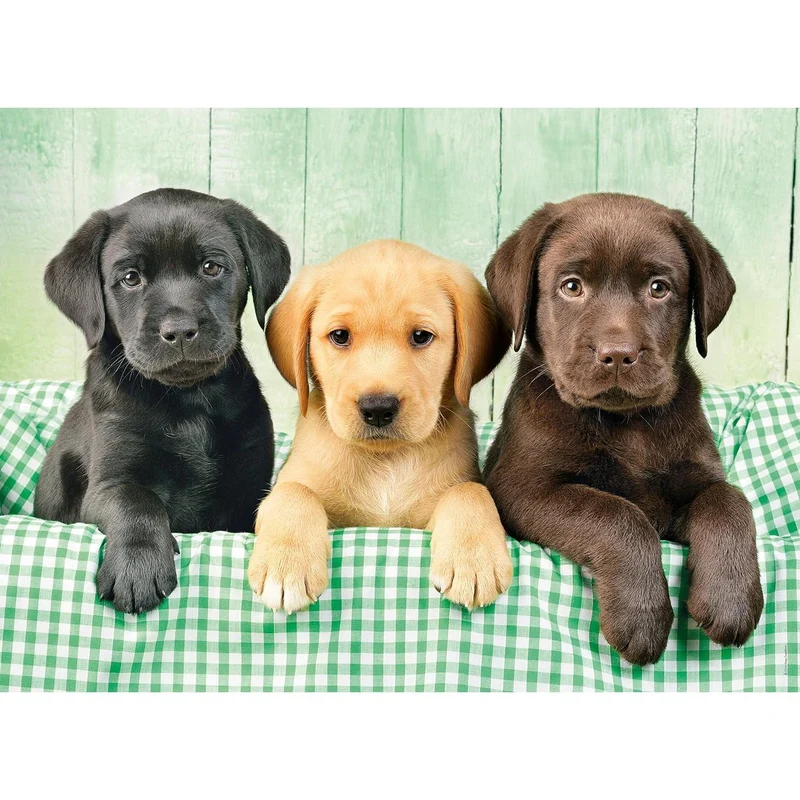 Clementoni 1000pc Three Labs Puzzle