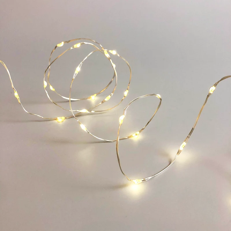 Lexi Lighting 1000 Dual Colour Micro LED String Light