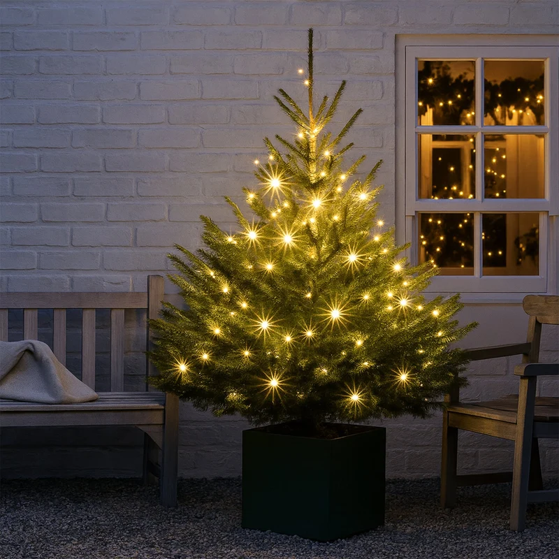 Lexi Lighting 240 LED Fairy Light Chain Clear Cable - Warm White
