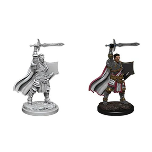Wizkids D&D Nolzurs Marvelous Unpainted Miniatures Male Human Paladin