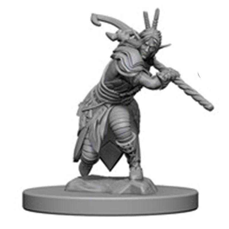 Wizkids D&D Nolzurs Marvelous Unpainted Miniatures Elf Male Druid