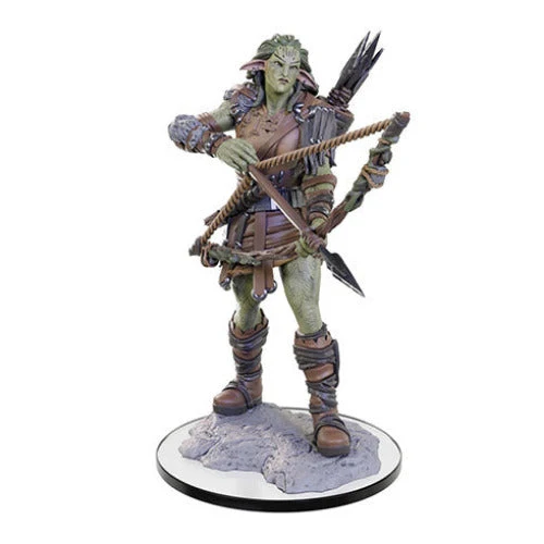 Wizkids Pathfinder Deep Cuts Miniatures: Wood Giant