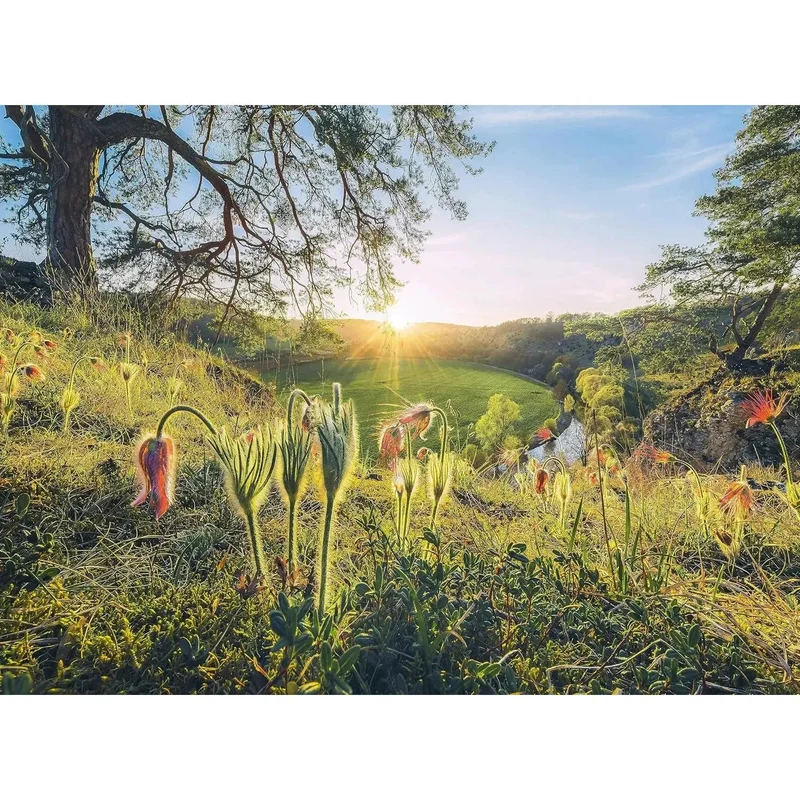 Ravensburger 4x500-Pieces Four Seasons Puzzle