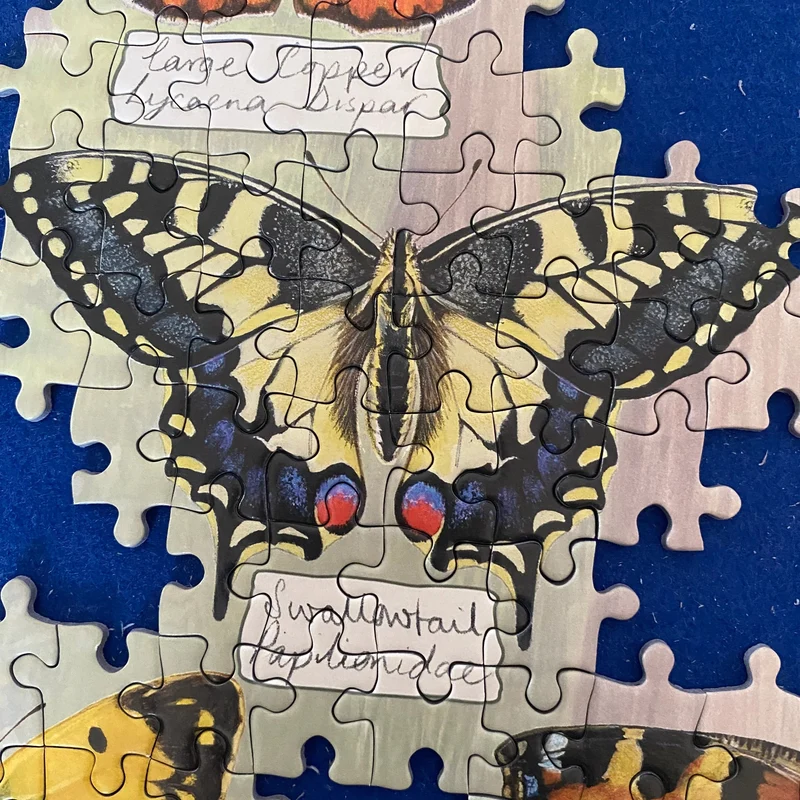 Gibsons 1000pc Beautiful Butterflies Puzzle