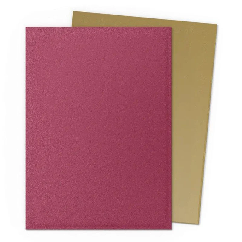 Arcane Tinmen Dragon Shield 100ct Matte Dual Anniversary Special Edition Pomegranate & Gold Sleeves