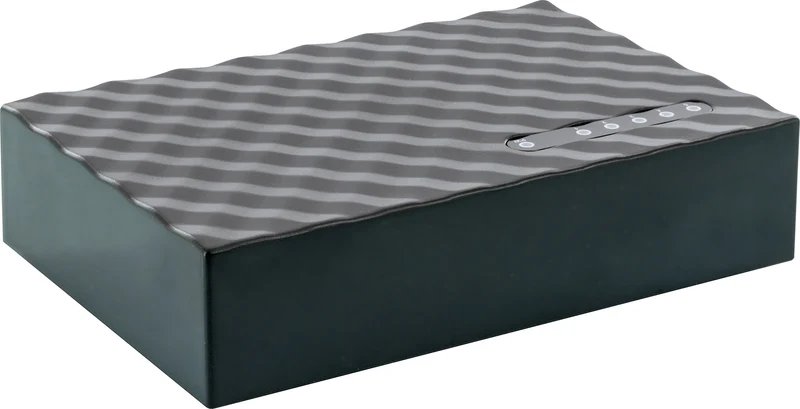 5-Port Netzwerk Switch