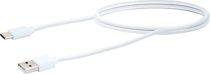 QI-Ladestation Smartphone-Ständer USB-C