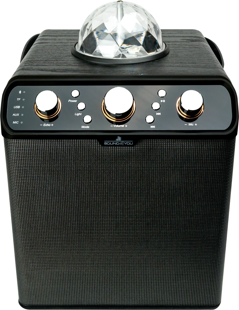 Bluetooth® Party Lautsprecher (30W)