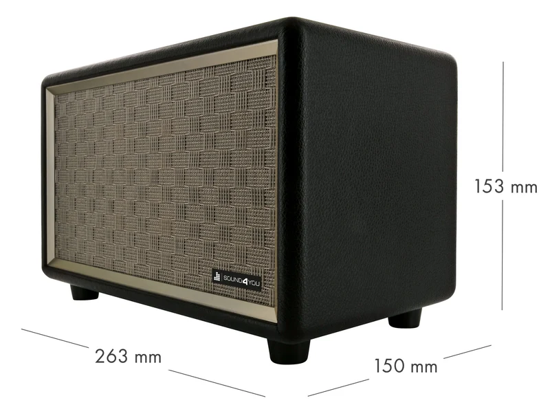 Retro Bluetooth® Lautsprecher (24W)
