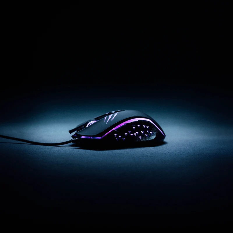 Gaming Maus