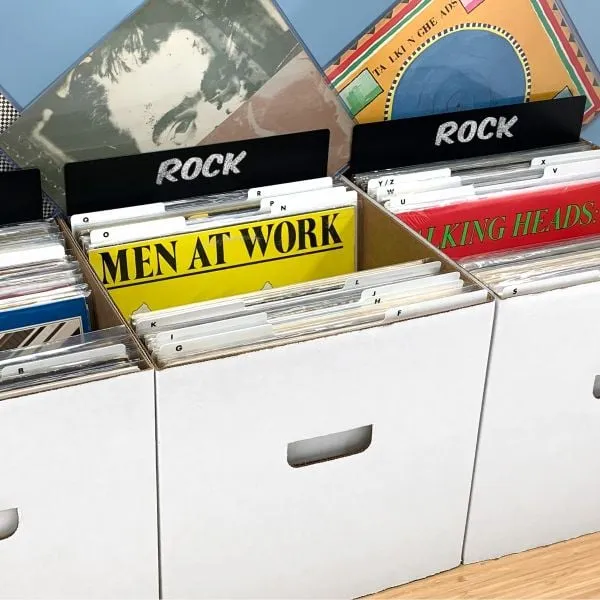 BCW 12-Inch Record Divider - Tall (Black)