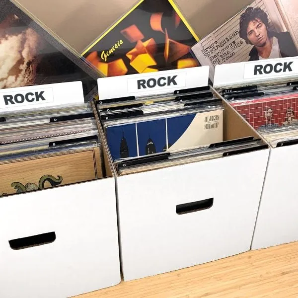 BCW 12-Inch Record Divider - Tall (White)