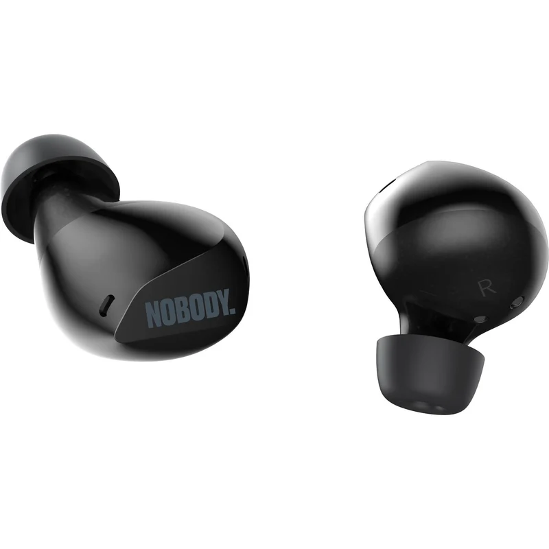 NOBODY VP4 Pro ANC Premium Earbuds With Call Clarity (Titanium)
