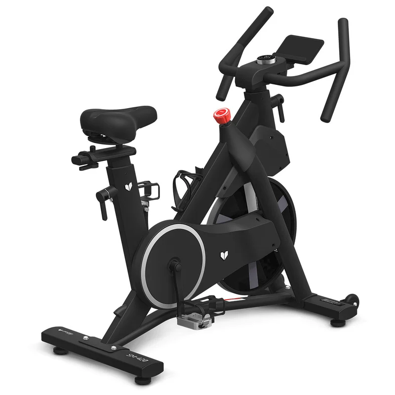 Lifespan Fitness SM-420 Spin Bike with Magnetic Resistance
