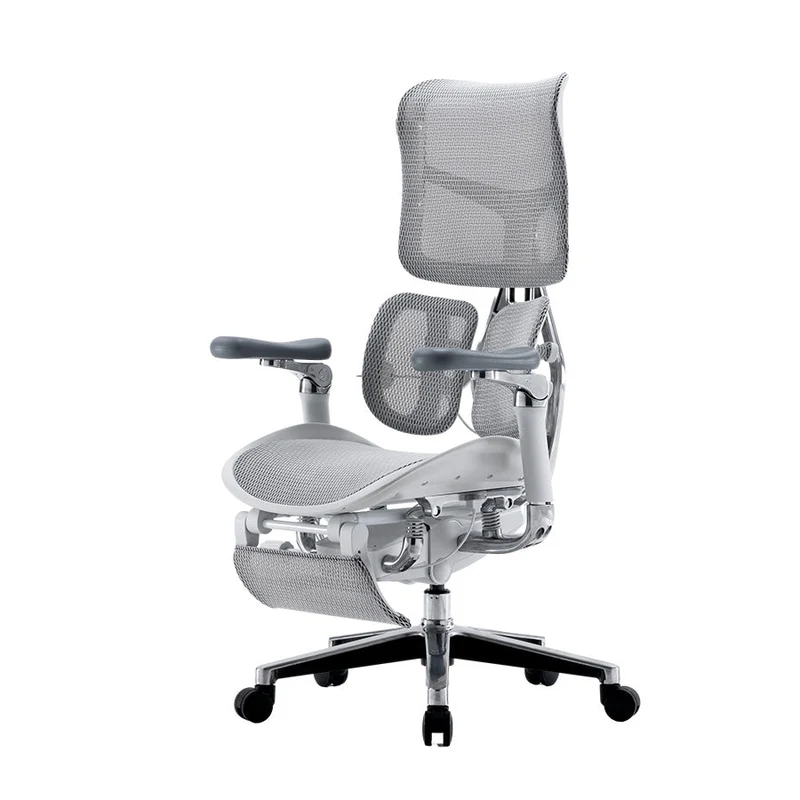 Sihoo DORO-S300-Ergonomic Office Chair with Footrest (Grey)