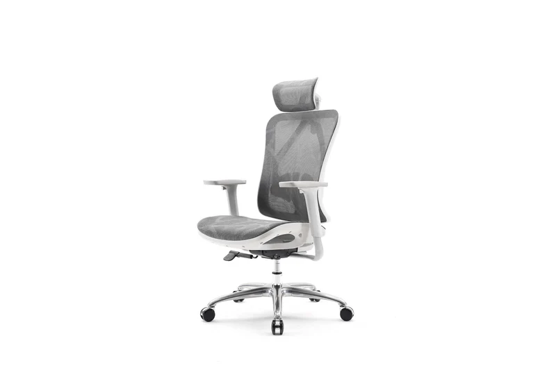 Sihoo M57 Pro Ergonomic Office Chair Mesh (Grey)