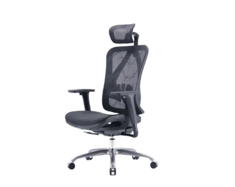 Sihoo M57 Pro Ergonomic Office Chair (Black)