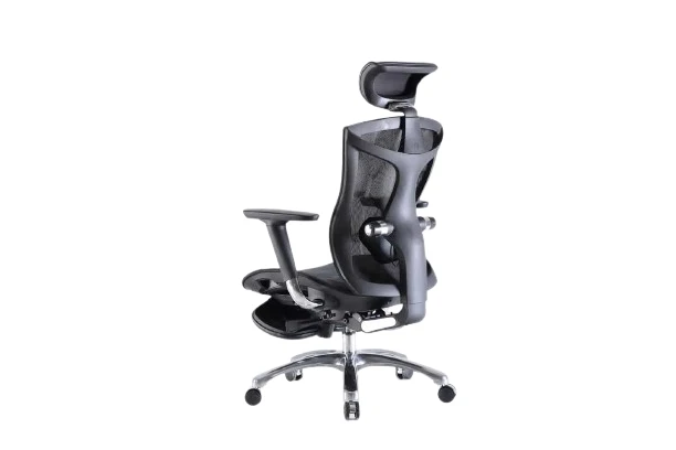 Sihoo V1 Ergonomic Office Chair (Black)