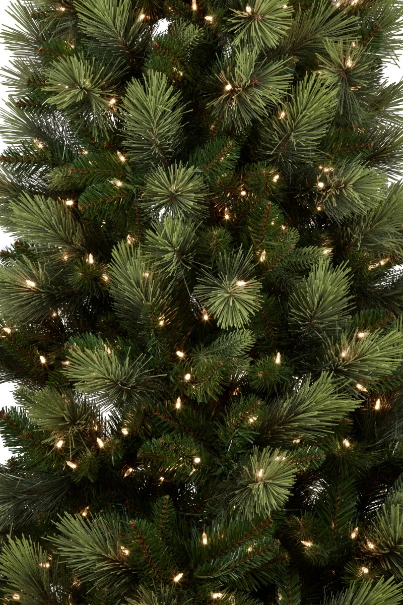 Christabelle 2.3m 7.5ft Christmas Tree with LED Lights Carolina Pine
