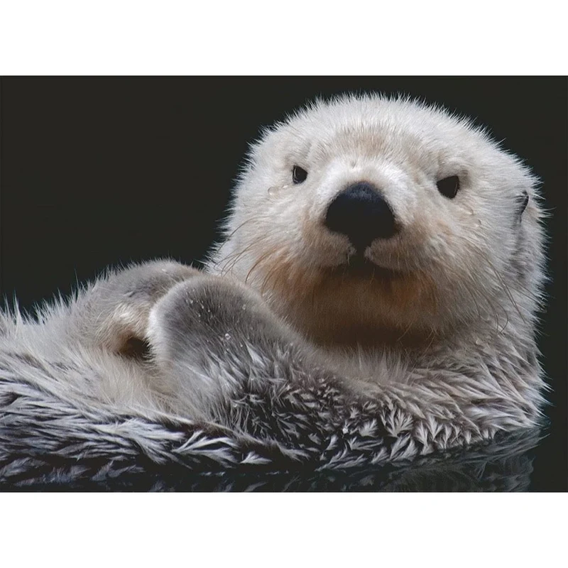 Ravensburger 500pc Adorable Little Otter Puzzle