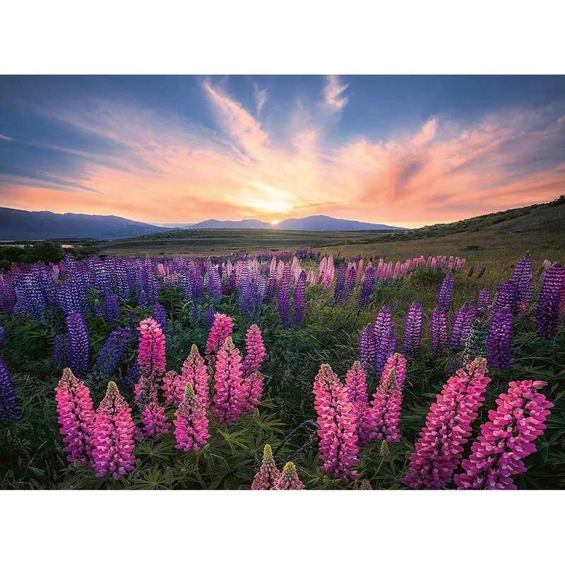 Ravensburger 500pcs Lupines Puzzle