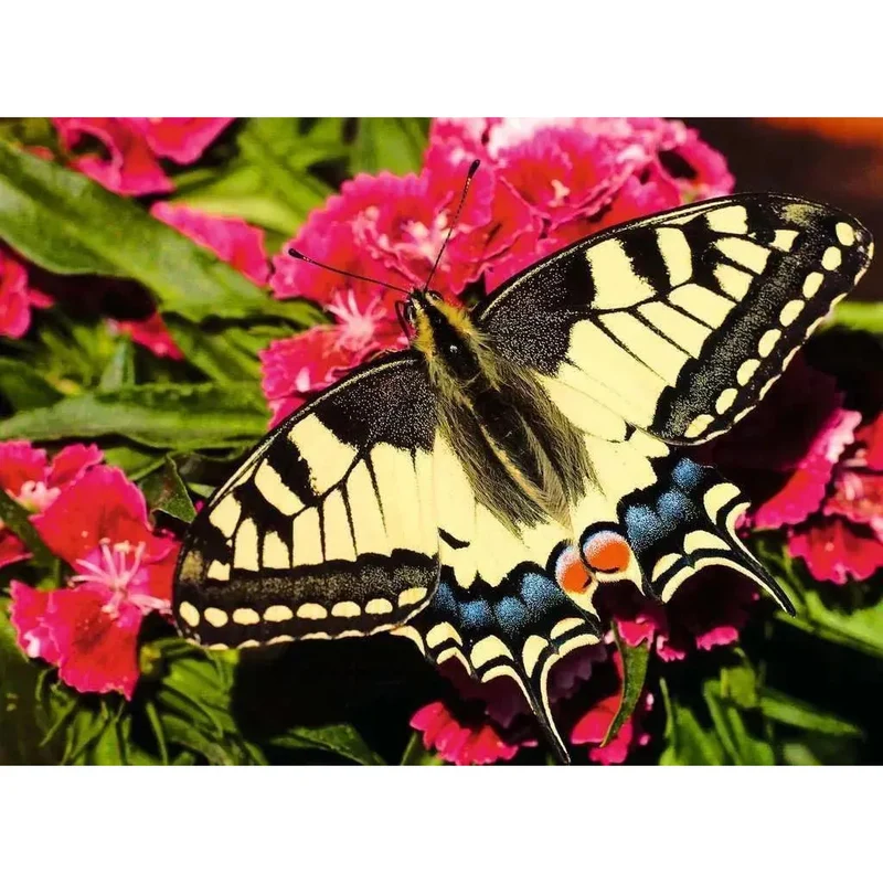 Ravensburger 500pc Butterfly Puzzle