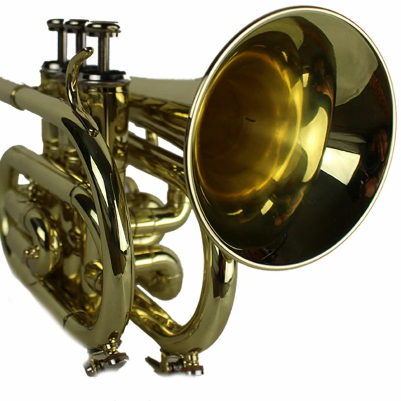 Axiom Pocket Trumpet Outfit