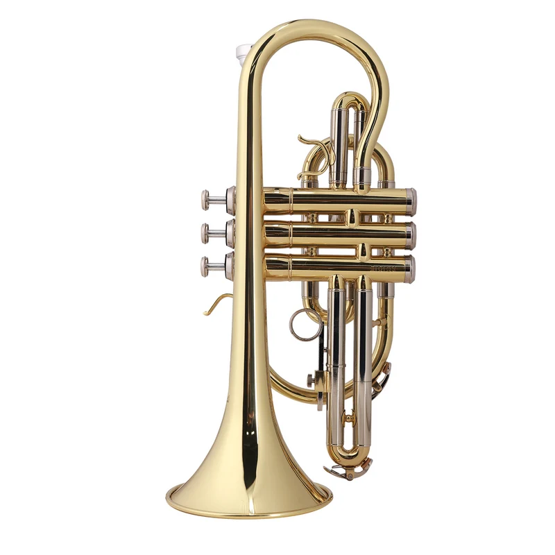 Axiom Student Cornet with Premium Case